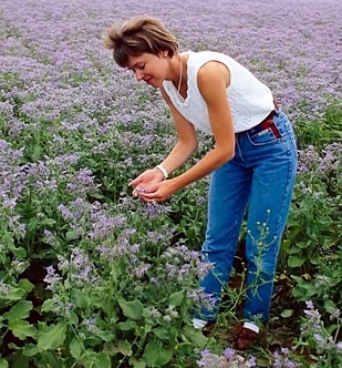 Environment Therapy Report