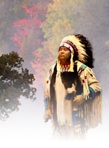 Medicine Wheel Report